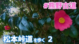 【世界遺産熊野古道】熊野古道伊勢路 松本峠道を歩く〜三重県熊野市〜