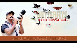 കേരളത്തിലെ ചിത്രശലഭങ്ങൾ|Butterflies of Kerala