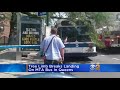 tree falls on mta bus in queens