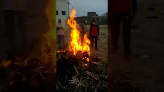 Holika Dahan 2023 #shorts