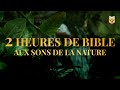 2 Heures de Bible aux sons de la nature #biblevision