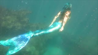 Underwater Hawaii Coral Reef- Sea Turtles, Tropical Fish and a Mermaid Spotted !!