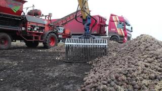 Avebe haalt laatste aardappelen uit de bult