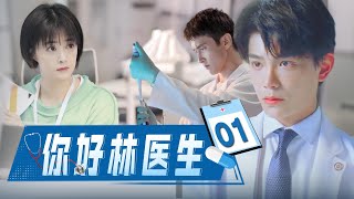 【最新电视剧】你好，林医生EP01｜冷峻医生#高伟光独宠她一人，天才画家女孩上海寻梦 #丁禹兮 #2024最新电视剧 #都市偶像剧 #電視劇 #愛情