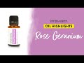 Uses and Benefits of Rose Geranium Essential Oil