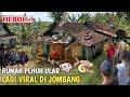 MERINDING.! Rumah Penuh Dengan Ratusan Ular Yang Lagi Viral Di Jombang