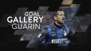 FREDY GUARIN | INTER TOP 10 GOALS | Goal Gallery 🇨🇴🖤💙