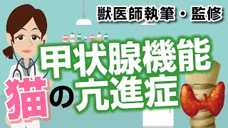 猫の甲状腺機能亢進症について【獣医師執筆監修】症状から治療方法まで