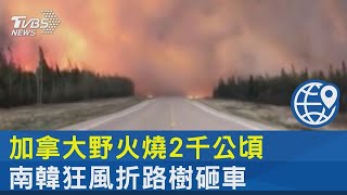 加拿大野火燒2千公頃 南韓狂風折路樹砸車｜TVBS新聞