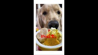 おやつの美味しい食べ方💕ゴールデンレトリバーの流儀🐶 Funny Dog :) はななん日記♡