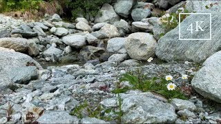 Relaxing water flowing for sleep or focus | wilderness river in Switzerland | white noise stream