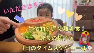 👶生後11ヶ月の離乳食の様子👶ごはんの量やミルク量についてもご紹介❣️