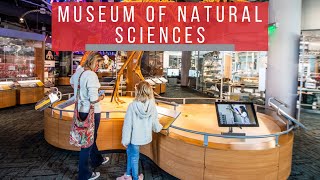 Don't Miss the North Carolina Museum of Natural Sciences - Raleigh's Best Museum