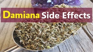 Damiana Side Effects