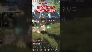 B拠点伝承RG気持ちいい瞬間#pvp #黒い砂漠 #RG