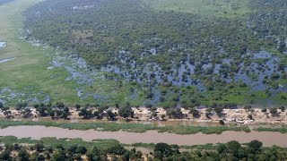 As flooding becomes a yearly disaster in South Sudan, thousands survive on the edge of a canal