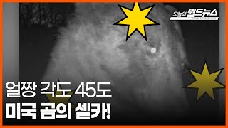 [30초 월드] 얼짱 각도 45도😆... 미국 곰의 셀카!  / OBS 오늘의 월드뉴스