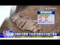 20151210中天新聞　沒鵝肉改賣鴨　大缺貨！首度匈牙利進口應急