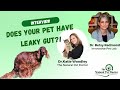 Leaky Gut In Dogs: How To Test For Leaky Gut