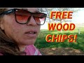 How to get FREE wood chips for your Back to Eden garden!