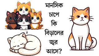 মানসিক চাপে কি বিড়ালের জ্বর আসে? #বিড়াল #বিড়াল_পালন