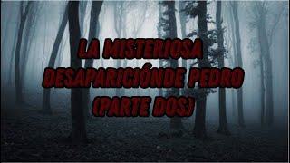 La Misteriosa Desaparición de Pedro (Parte Dos)