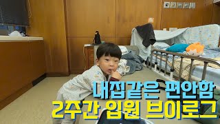 이른둥이 육아VLOG - 2주 금방갔네.. 세번째 보조기 도착 feat.5성급 호텔 뷰