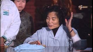 三義行德宮VTS 02 3行德宮88年慶祝佛誕影歌星義演太子爺聖駕