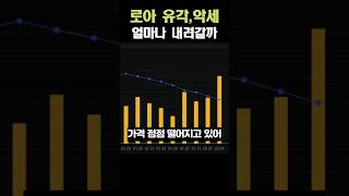 [로스트아크] 로아 유각, 악세는 얼마나 내려갈까