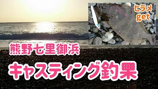 熊野七里御浜キャスティング釣果