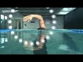 Freestyle Swimming Technique | Stroke Freestyle Swimming Technique | Stroke