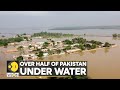 WION Climate Tracker: Monsoon brings misery to millions in Pakistan