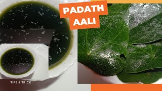 pada thalli/താരനെ ഒഴിവാക്കും മുടി കൊഴിച്ചിൽ ഇനി പേടിക്കണ്ട/ @JKN5379