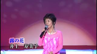 歌謡スタジオK2　歌謡祭  井上寿美子 露の花