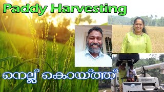 Paddy Harvest || നെല്ല് കൊയ്ത്ത് with Martin Pureparambil || धान की कटाई