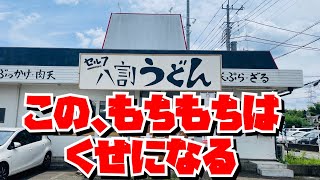 【埼玉グルメ】武蔵野と讃岐のいいとこ取り・行列が出来るうどんやさん