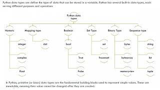 Data types in python | Primitive datatypes in python #int #numericals #string #python #python3 #set
