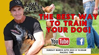 What is the Best Way to Train Your DOG?