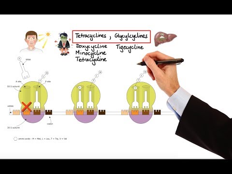 Pharmacology – ANTIBIOTICS – NUCLEIC ACID & FOLIC ACID & PROTEIN SYNTHESIS INHIBITORS (MADE EASY) Pharmacology – ANTIBIOTICS – NUCLEIC ACID & FOLIC ACID & PROTEIN SYNTHESIS INHIBITORS (MADE EASY)