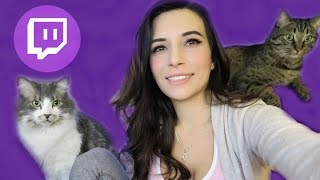 Alinity gets reported for throwing cat on livestream?!