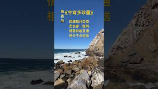 《今宵多珍重》 #陳百強 #粵語經典金曲 #cantonesesongs #songlyrics #粵語歌曲黃金年代