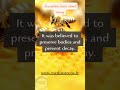 1 All about honey ! Extraordinary Secrets of Beekeeping NEW 3 #BeekeepingWonders #shorts