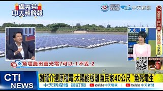 【每日必看】謝龍介還原種電:太陽能板離漁民家40公尺 \