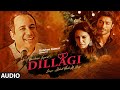 Download Tumhe Dillagi Full Song By Rahat Fateh Ali Khan Huma Qureshi Vidyut Jammwal Salim Sulaiman mp3