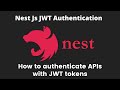 17 NestJS JWT Token for API authentication, Passport - API security