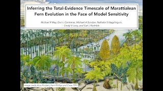 Inferring the Total-Evidence Timescale of Marattialean Evolution in the Face of Model Sensitivity