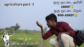 vivasayam videos in tamil 🤗 how to farming rice in organic 🌾 complete guideline for rice farming