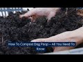 How To Compost Dog Poop -- All You Need To Know