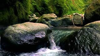 Relax Instantly with Calming River and Stream Sounds | Gentle Water Ambience for Sleep