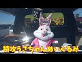 【旧車】ヤンチャなカスタム車が舞洲に集結！第9回はろーすぺしゃる 軽トラ箱トラ大集合